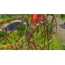 Rollercoaster Tycoon 9 Megapack Rollercoaster Tycoon 9 Megapack