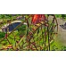 Rollercoaster Tycoon World Rollercoaster Tycoon World