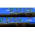 Terraria