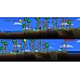 Terraria