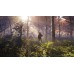 Thehunter Call Of The Wild