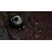 Torment Tides Of Numenera Collectors Edition