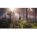 Thehunter Call Of The Wild Thehunter Call Of The Wild