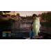 Fishing Sim World Fishing Sim World