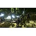 Ark Survival Evolved