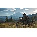Days Gone Special Edition Days Gone Special Edition