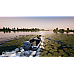 Fishing Sim World