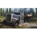 Spintires Mudrunner American Wilds Edition Spintires Mudrunner American Wilds Edition