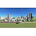 Cities Skylines Edition