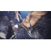 Monster Hunter World Iceborne : Master Edition