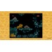 Disney Classic Games Aladdin And The Lion King