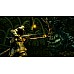 Dark Souls Trilogy