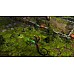 Pathfinder Kingmaker Definitive Edition