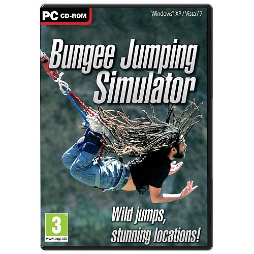 Bungee Simulator