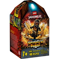 Lego Ninjago: Spinjitzu Burst - Cole (70685)