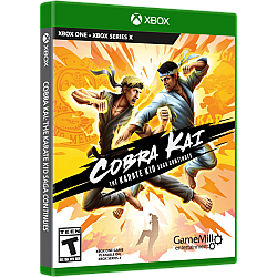 Cobra Kai The Karate Kid Saga