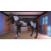 My Riding Stables 2 A New Adventure My Riding Stables 2 A New Adventure