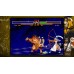 Samurai Shodown V