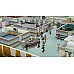 Two Point Hospital Jumbo Edition
