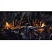 The Elder Scrolls Online Blackwood Collection