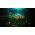The Catch Carp Coarse Collector's Edition The Catch Carp Coarse Collector's Edition