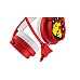 Headphones Pokemon Interactive Cu Microphone Boom