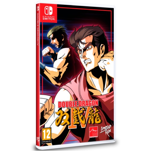 Double Dragon Iv