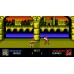 Double Dragon Iv