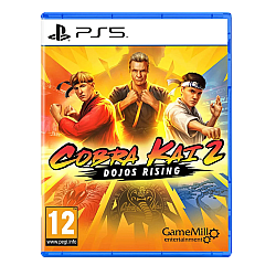 Cobra Kai 2 Dojos Rising