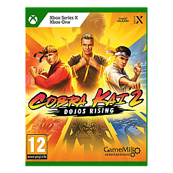 Cobra Kai 2 Dojos Rising