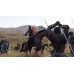 Mount & Blade Ii Bannerlord Mount & Blade Ii Bannerlord