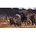Mount & Blade Ii Bannerlord Mount & Blade Ii Bannerlord