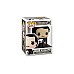 Pop! Icons Edgar Allen Poe W Skull 9 Cm