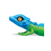 Robo Alive Indo Chinese (green-blue) Lizard