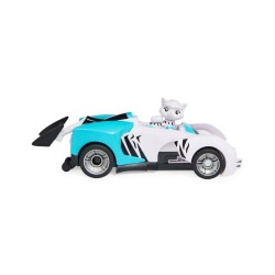 Car Paw Patrol Catpack Rorys