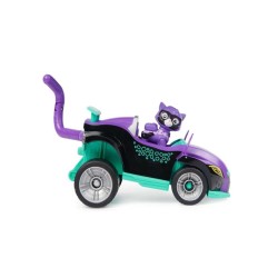 Car Paw Patrol Catpack Shades