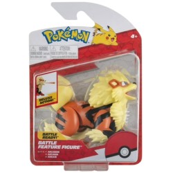 Pokemon Battle Arcanine Pkw0009
