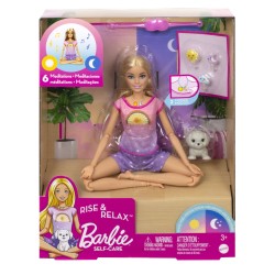 Doll Barbie Mediation (hhx64)