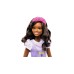 Doll Barbie Brooklyn (hll20)