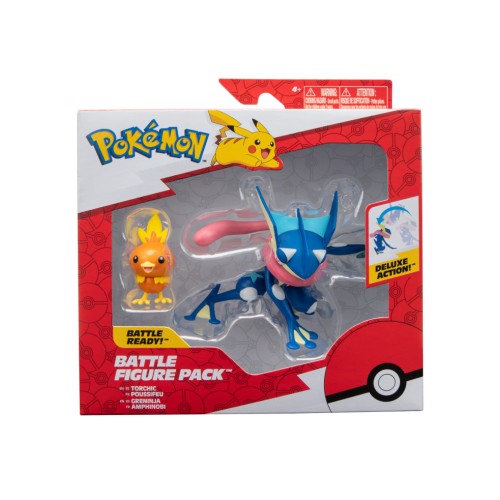 Pokemon Greninja & Torchic Pkw2905