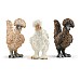 Schleich Chicken Friends 42574 Schleich Chicken Friends 42574
