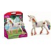 Schleich Rainbow Love Unicorn Mare 70726