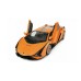 Car Cu Telecomanda Rastar Lamborghini Sian R/c 1:14 (23047)