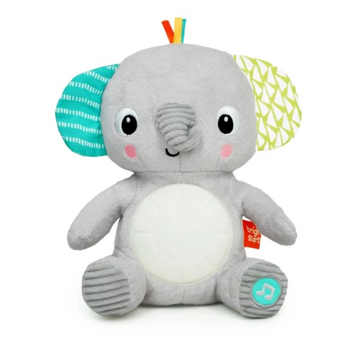 Plus Bright Starts Hug-a-bye Baby (12498)