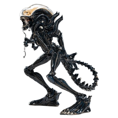 Alien Mini Epics Xenomorph 18cm