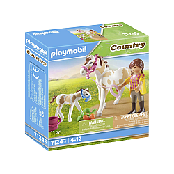 Set Playmobil Horse With Foal (71243)