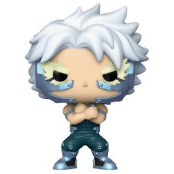 Pop Animation My Hero Academia Tetsutetsu Tetsutetsu