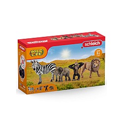 Set Schleich Wild Life Starter (42387)