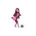 Doll Draculaura Monster High With Pet (hhk51)