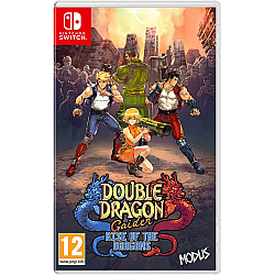 Double Dragon Gaiden Rise Of The Dragons